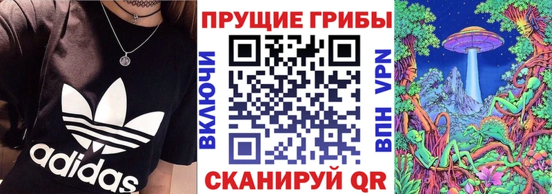 Галлюциногенные грибы прущие грибы  Купить где  Борисоглебск 